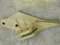 Jcb Excavator Equipment Side Cutter 531-03209